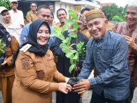 Menanam Harapan dari Pekarangan Bupati Sinjai Dorong Gerakan Indonesia Hijau