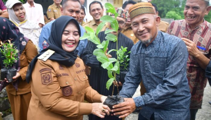 Menanam Harapan dari Pekarangan Bupati Sinjai Dorong Gerakan Indonesia Hijau