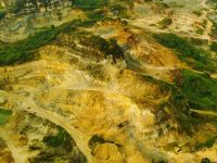 Kinerja Bumi Resources Makin Solid, Laba Kuartal I 2026 Melonjak 35 Persen di Tengah Transformasi Bisnis