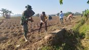 Wujudkan Akses Tani Yang Lebih Baik Babinsa Dan Warga Dusun Allu Bahu Membahu Buka Jalan Swadaya